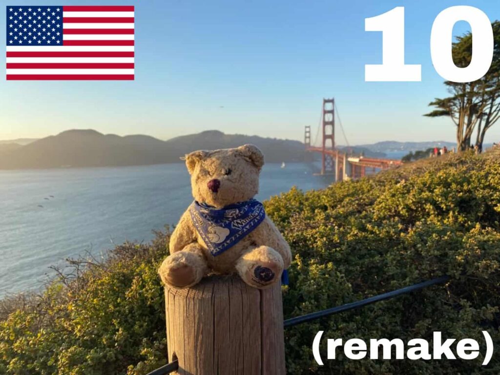 010 Weltreisebär