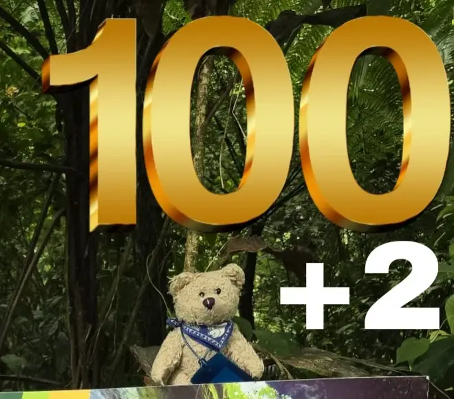 100+2 Weltreisebär