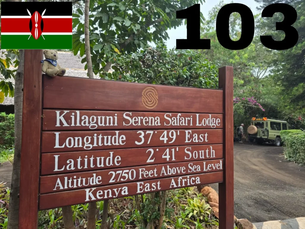 103 Weltreisebär